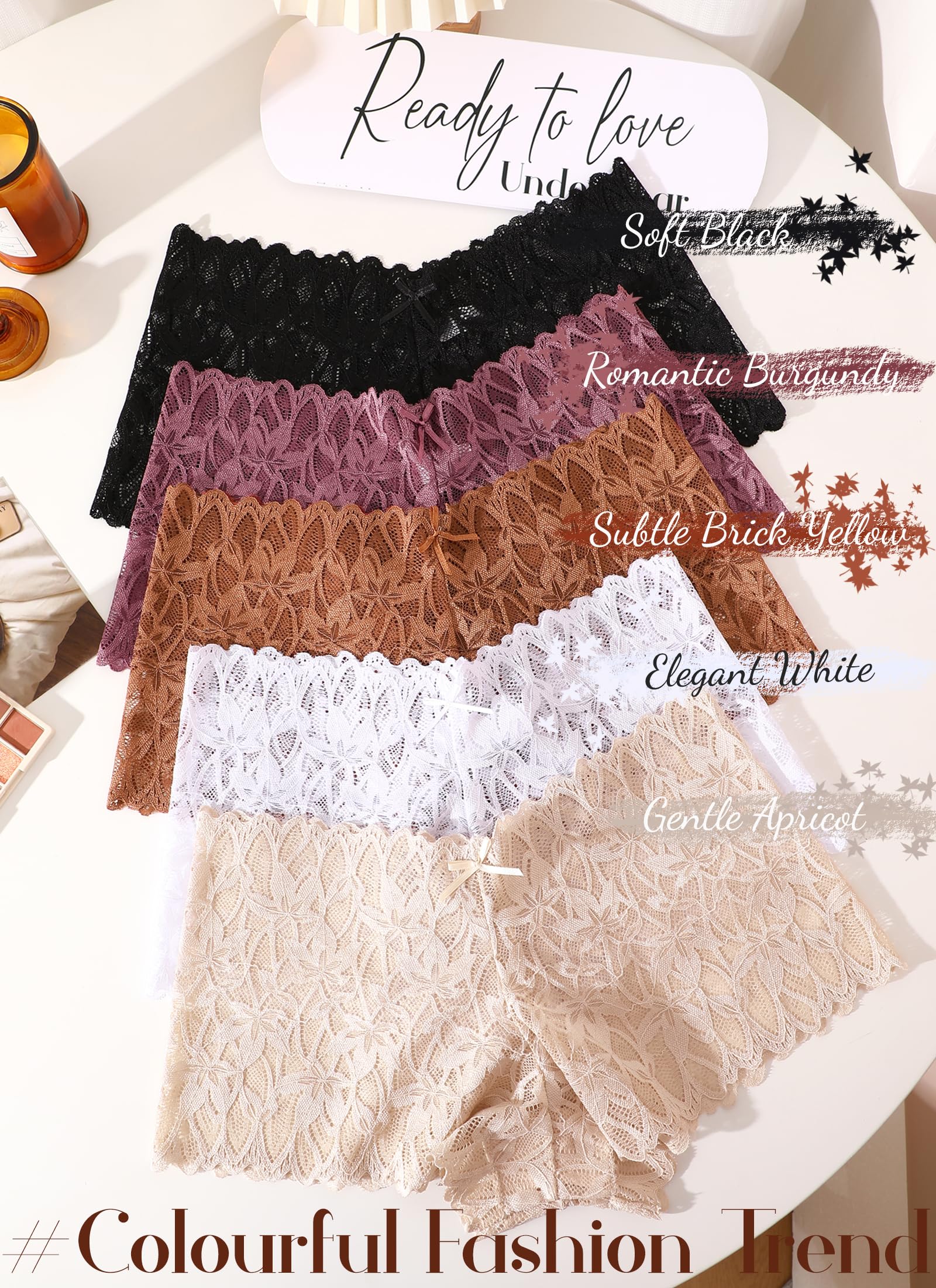 Sexy Women's Underwear Lace Shorts V Waist Breathable Cheeky Panties Boyshorts Underwear Women 5 Pack